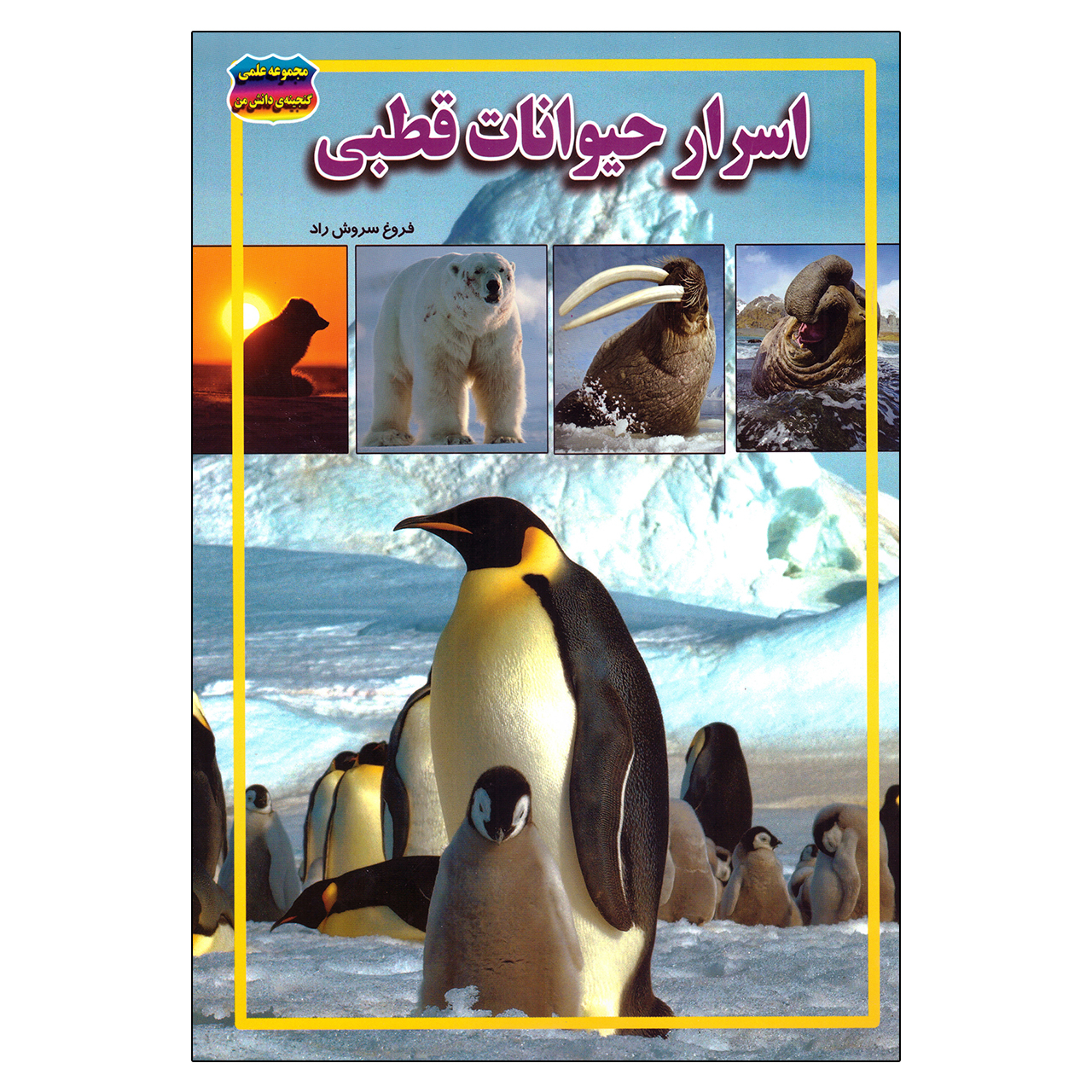 کتاب اسرار حیوانات قطبی اثر فروغ سروش راد نشر حباب
