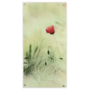 دیوارکوب مدل sh10501