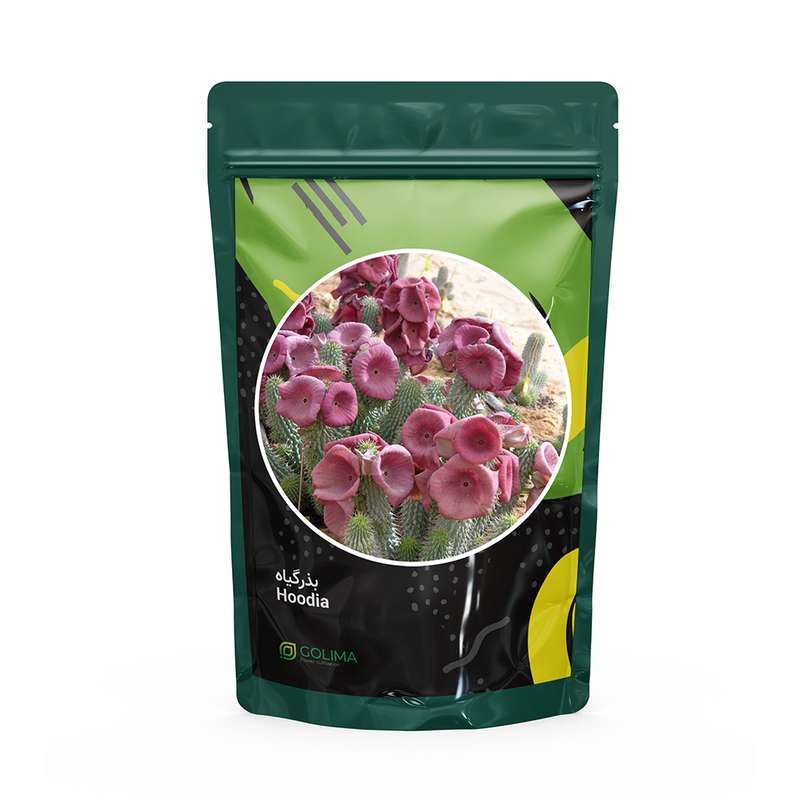 بذر کاکتوس گلیما مدل هودیا بذر کاکتوس گلیما مدل هودیا