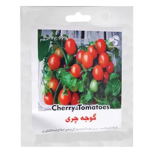 بذر گوجه چری گرین فارم مدل 085