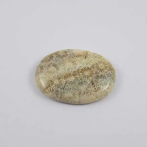 سنگ فسیل مرجان کد TG5915