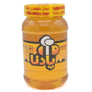 عسل گون پادنا - 950 گرم