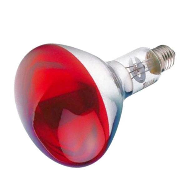  لامپ مادون قرمز ۲۵۰ وات فیلیپس مدل BR125/RED پایه E27 