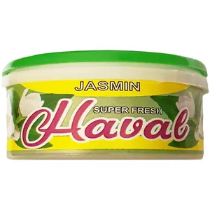 بوگیر توالت هاوال کد B-06