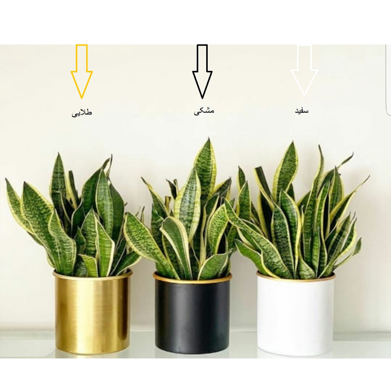 گلدان مدل Aryaman _990021 گلدان مدل Aryaman _990021