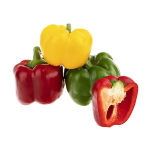 فلفل دلمه ای رنگی بلوط - 500 گرم