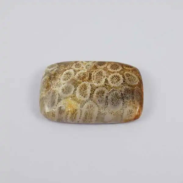 سنگ فسیل مرجان کد TG5922