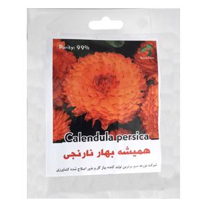 نقد و بررسی بذر گل همیشه بهار نارنجی گرین فارم کد 003 توسط خریداران
