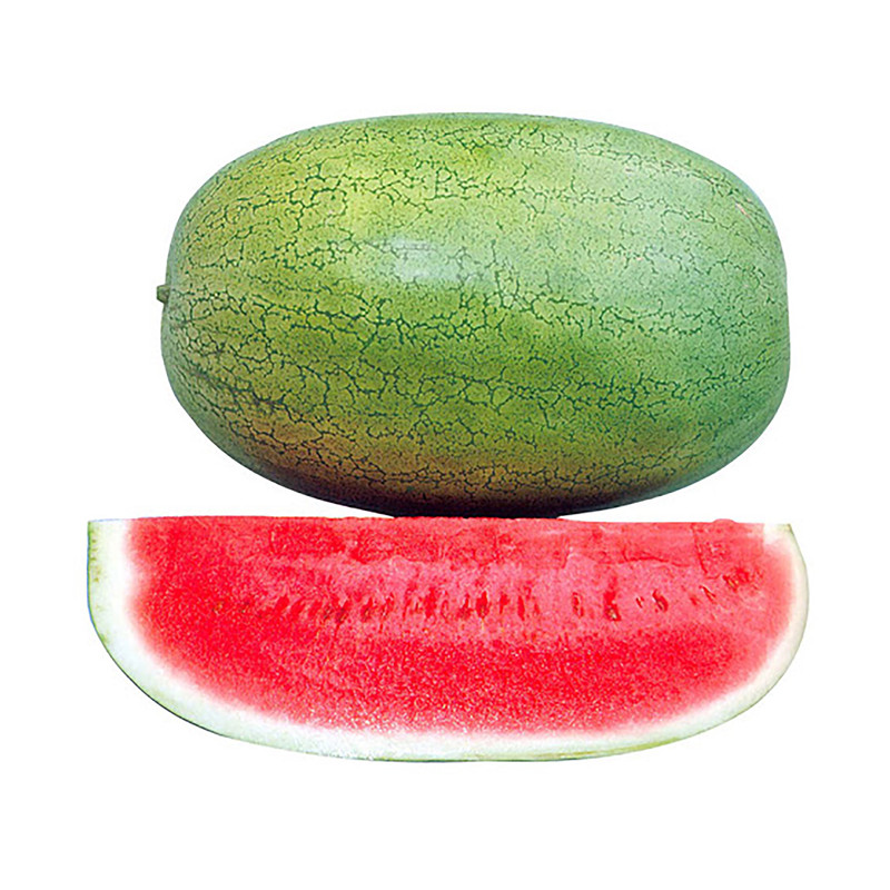 بذر هندوانه گرین فارم کد 005