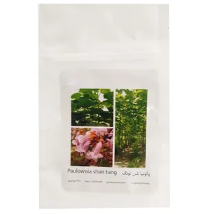 بذر پالونیا شن تونگ مدل 3014