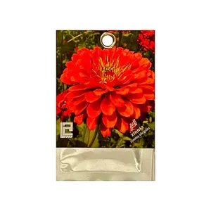 بذر گل آهار کد 25