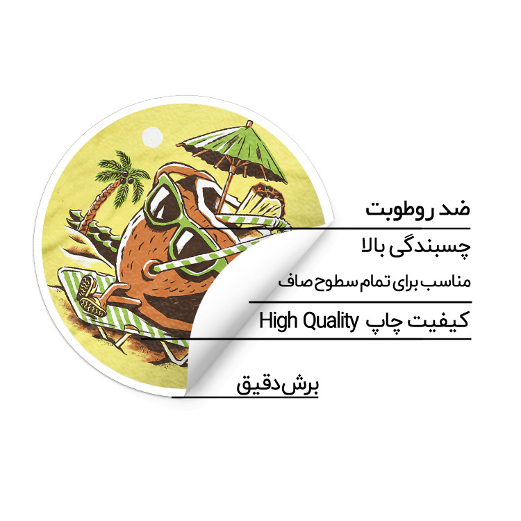 استیکر لپ تاپ ماسا دیزاین طرح نارگیل مدل STK917