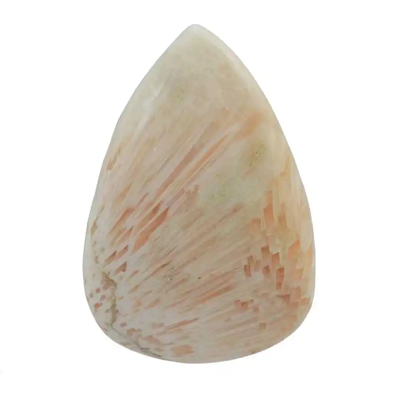 سنگ اسکولسیت کد TG5925