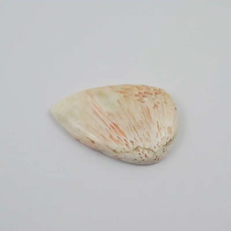 سنگ اسکولسیت کد TG5925