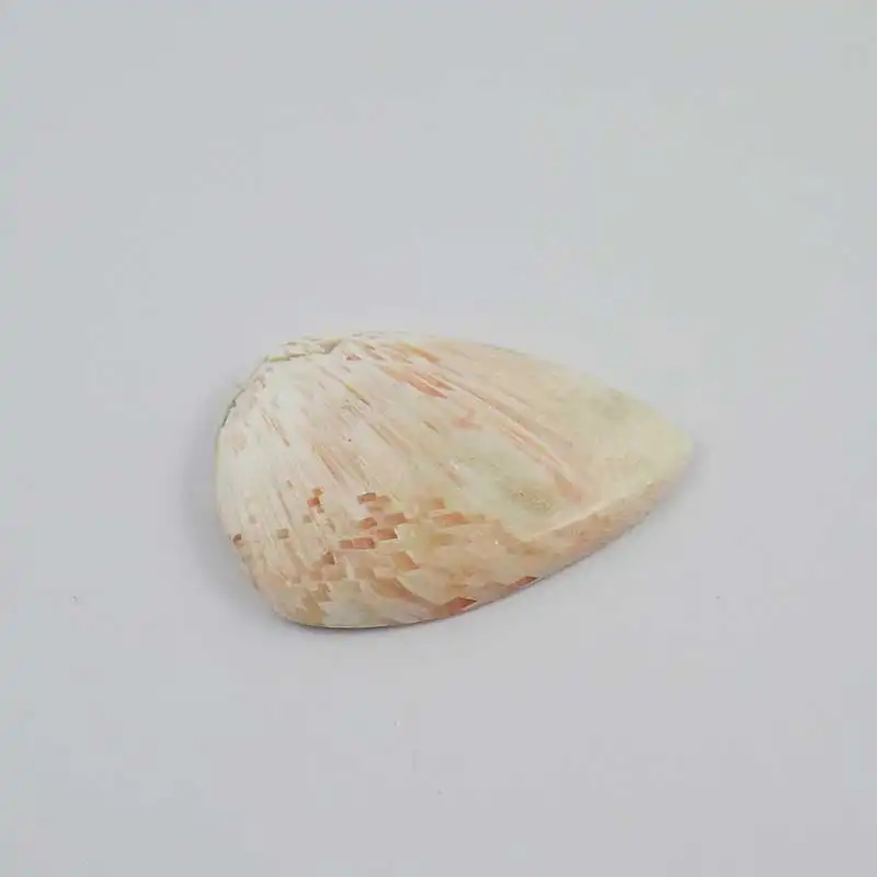 سنگ اسکولسیت کد TG5925