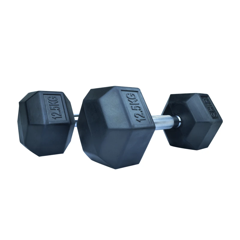دمبل اس اچ ارمدل B4 وزن 12.5 کیلوگرم بسته 2 عددی