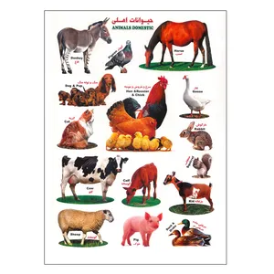 استیکر کودک طرح حیوانات اهلی کد 44