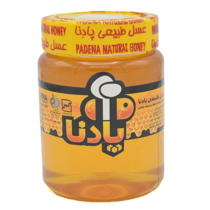 عسل گون پادنا - 600 گرم
