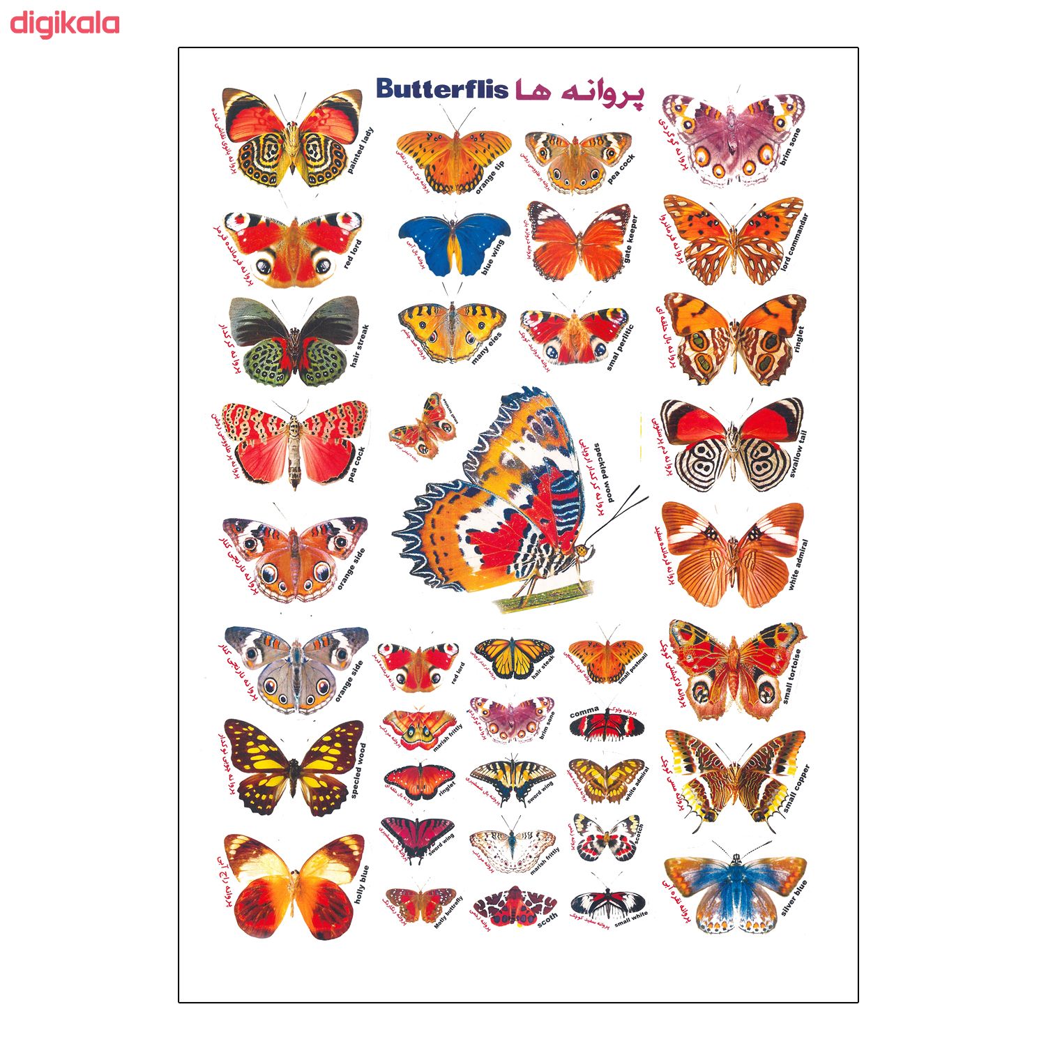 استیکر کودک طرح پروانه ها کد 66 main 1 1