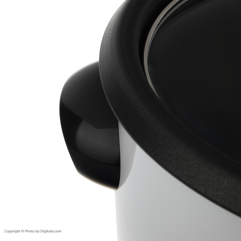 پلوپز پاناسونیک مدل SR-1970D