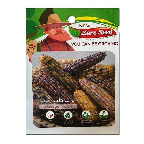 بذر ذرت گلس جم پاسارگاد کشت زارع کد zs188
