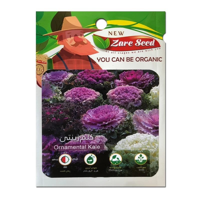 بذر کلم زینتی پاسارگاد کشت زارع کد zs192