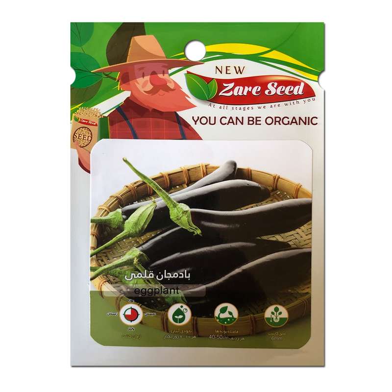 بذر بادمجان قلمی پاسارگاد کشت زارع کد zs199