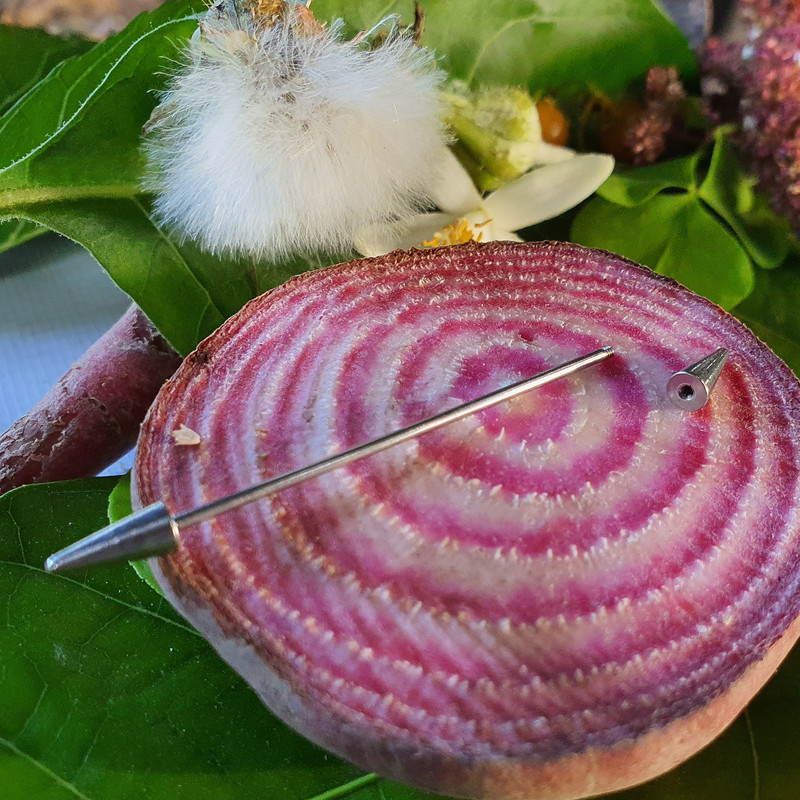 پیرسینگ گوش کد PS300