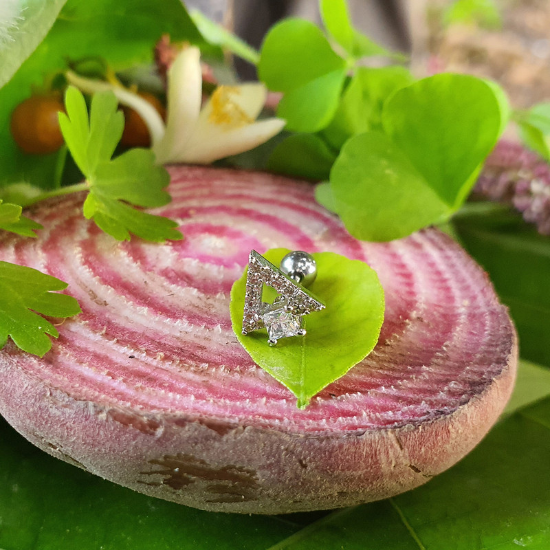 پیرسینگ گوش کد PS311 پیرسینگ گوش کد PS311