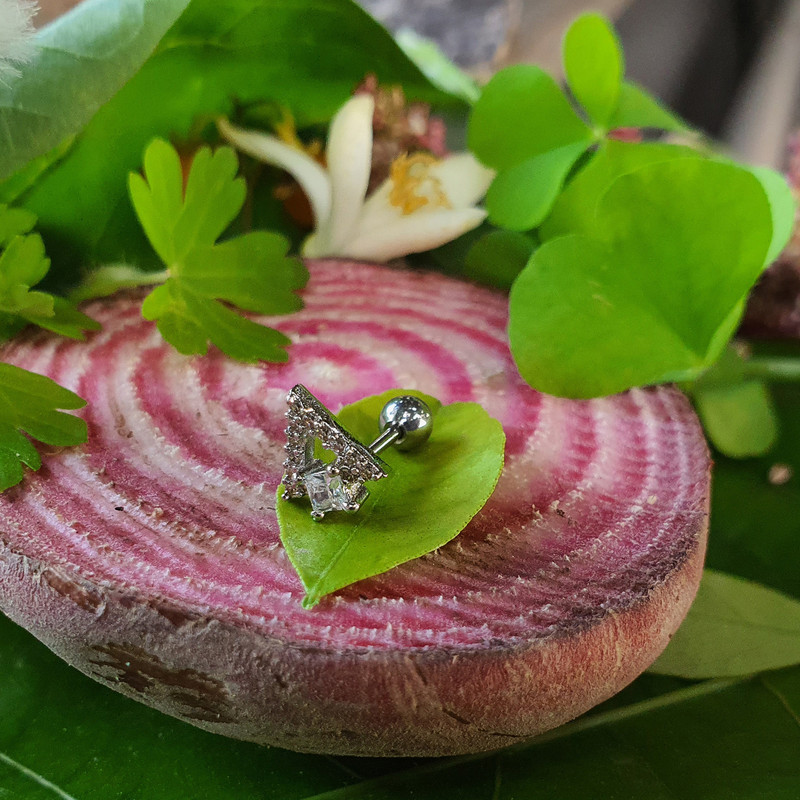 پیرسینگ گوش کد PS311 پیرسینگ گوش کد PS311