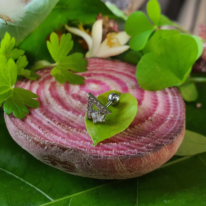 پیرسینگ گوش کد PS311 پیرسینگ گوش کد PS311