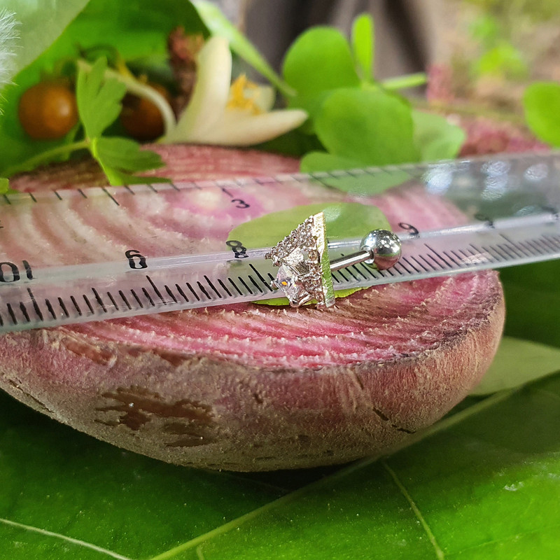 پیرسینگ گوش کد PS311 پیرسینگ گوش کد PS311