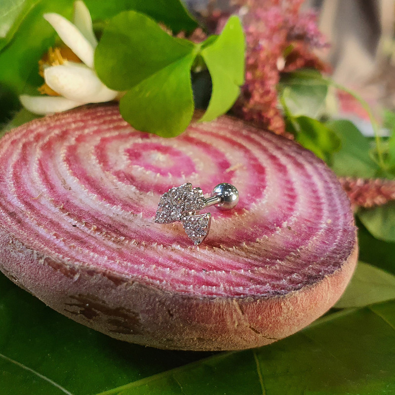 پیرسینگ گوش کد PS317 پیرسینگ گوش کد PS317