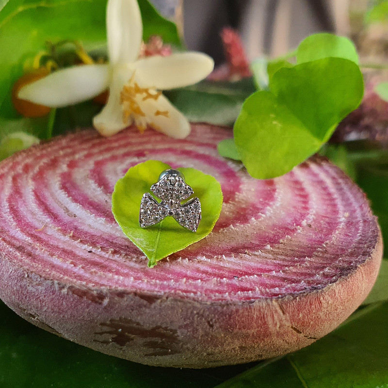 پیرسینگ گوش کد PS317 پیرسینگ گوش کد PS317