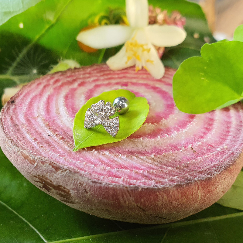 پیرسینگ گوش کد PS317 پیرسینگ گوش کد PS317