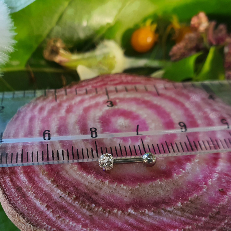 پیرسینگ گوش کد PS322 پیرسینگ گوش کد PS322