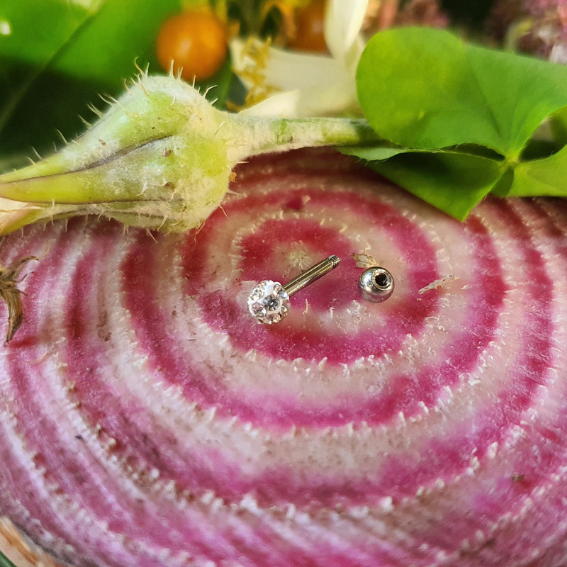 پیرسینگ گوش کد PS322 پیرسینگ گوش کد PS322