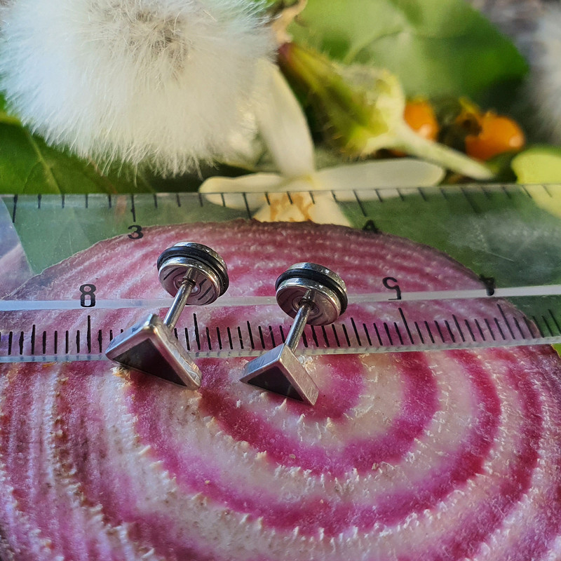 پیرسینگ گوش کد PS327 مجموعه دو عددی