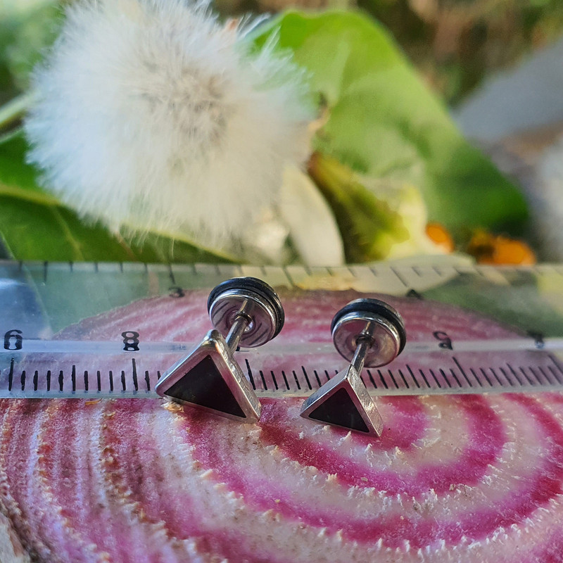 پیرسینگ گوش کد PS327 مجموعه دو عددی