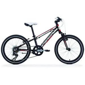 دوچرخه شهری مریدا مدل Dakar 620 سایز 20 - سایز فریم 10