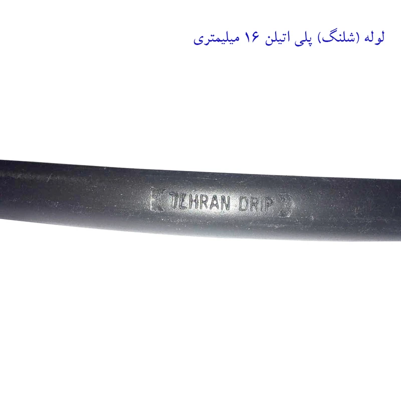 عکس شماره 3