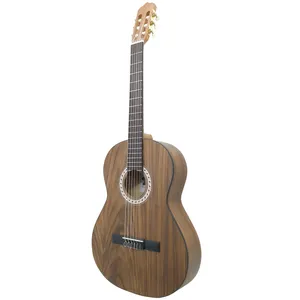 گیتار کلاسیک ایران ساز مدل C750