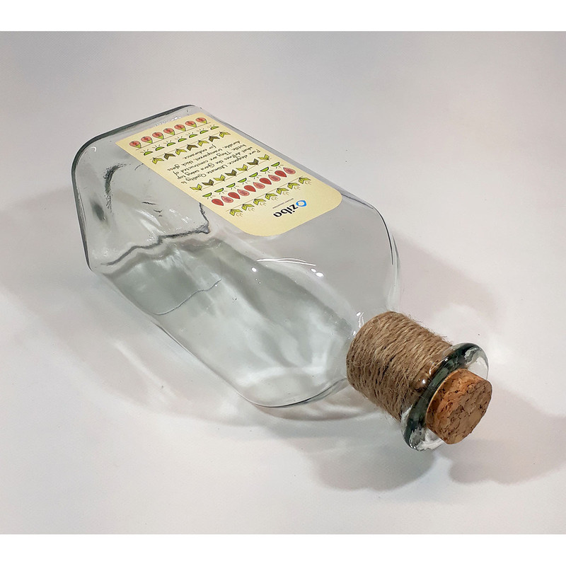 بطری آب زیبا مدل ترنگ بطری آب زیبا مدل ترنگ