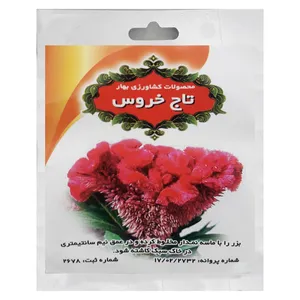 بذر گل تاج خروس محصولات کشاورزی بهار کد006