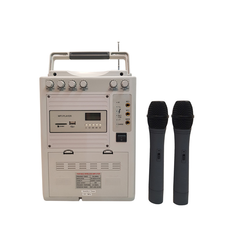 اکو همراه ای ای پی پرو مدل PA-3G-100C