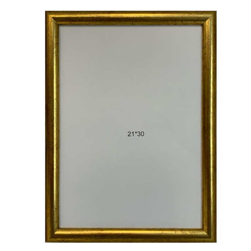 قاب عکس مدل 852-202-21-G سایز 20×30 سانتی متر