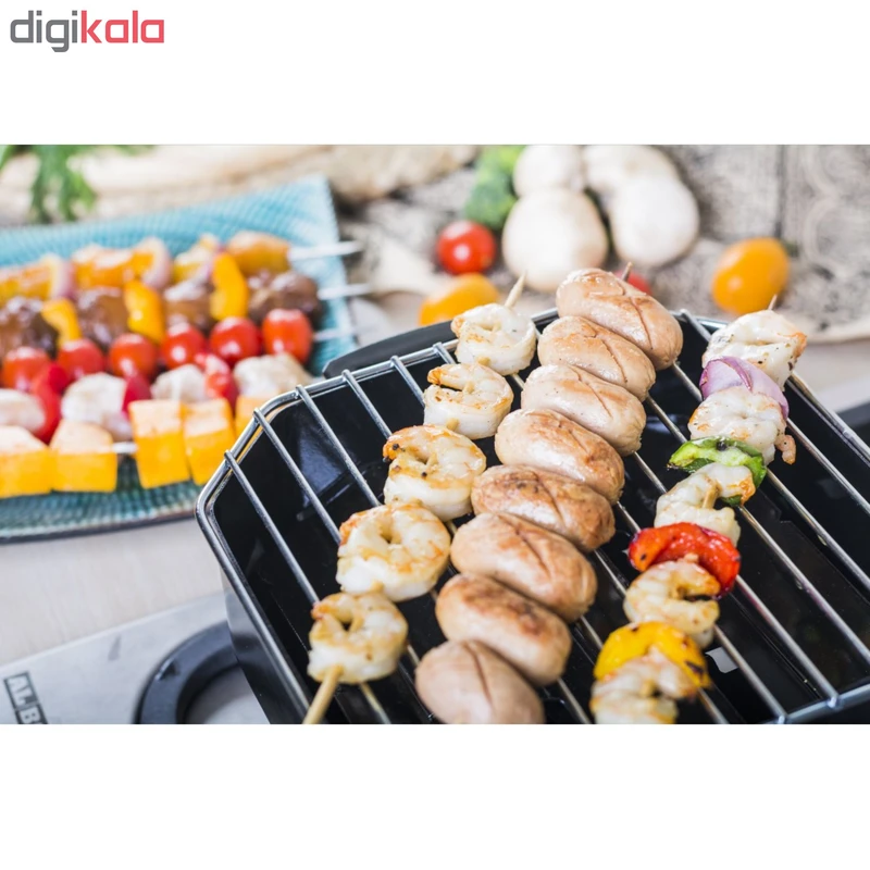 عکس شماره 4 : کباب پز روگازی مدل کیوبیک
