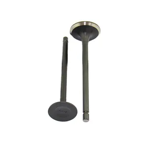 سوپاپ موتور سیکلت مدل RP125 بسته 2 عددی