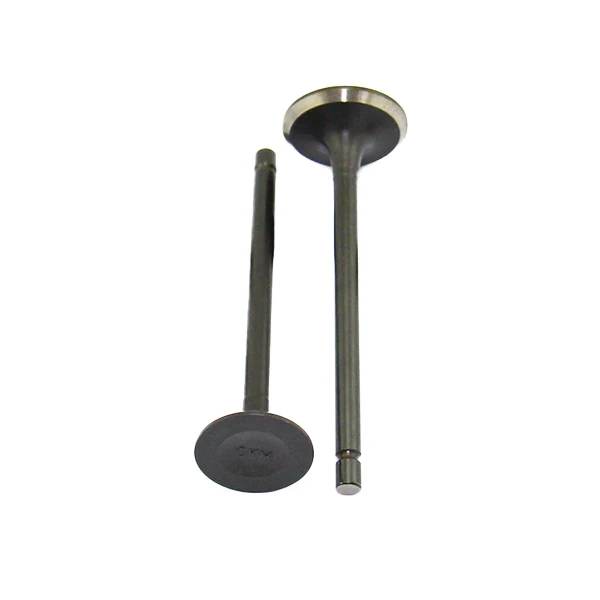 سوپاپ موتور سیکلت مدل RP125 بسته 2 عددی