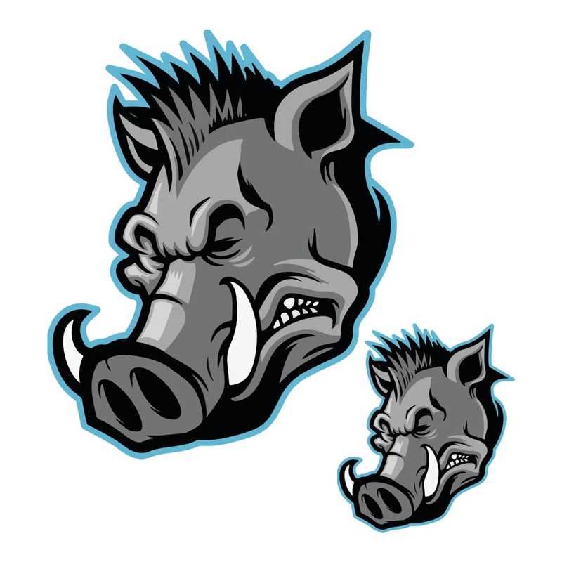 برچسب بدنه خودرو طرح عصبی کد 199 مجموعه دو عددی